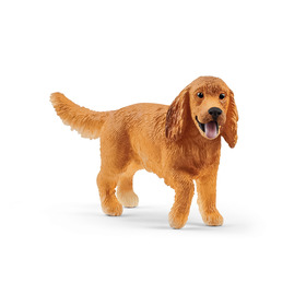 Englischer Cocker Spaniel