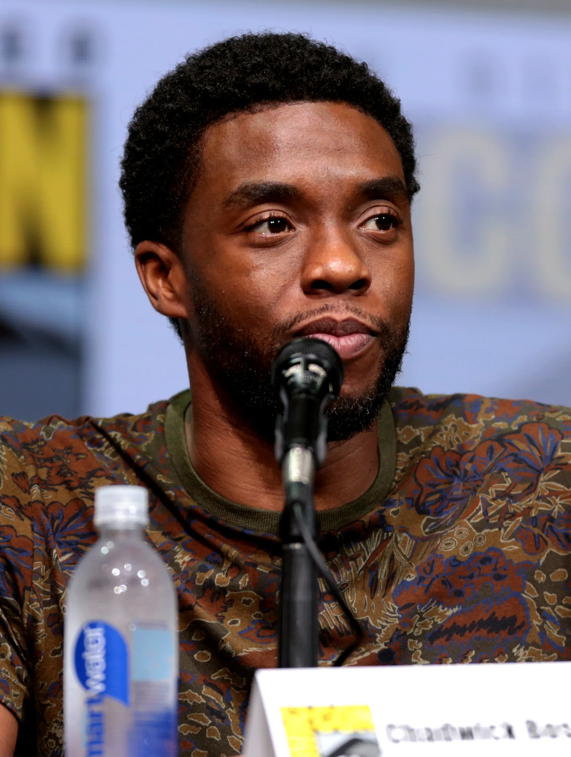 Porträt von Chadwick Boseman (1976–2020) – Gedenkseite