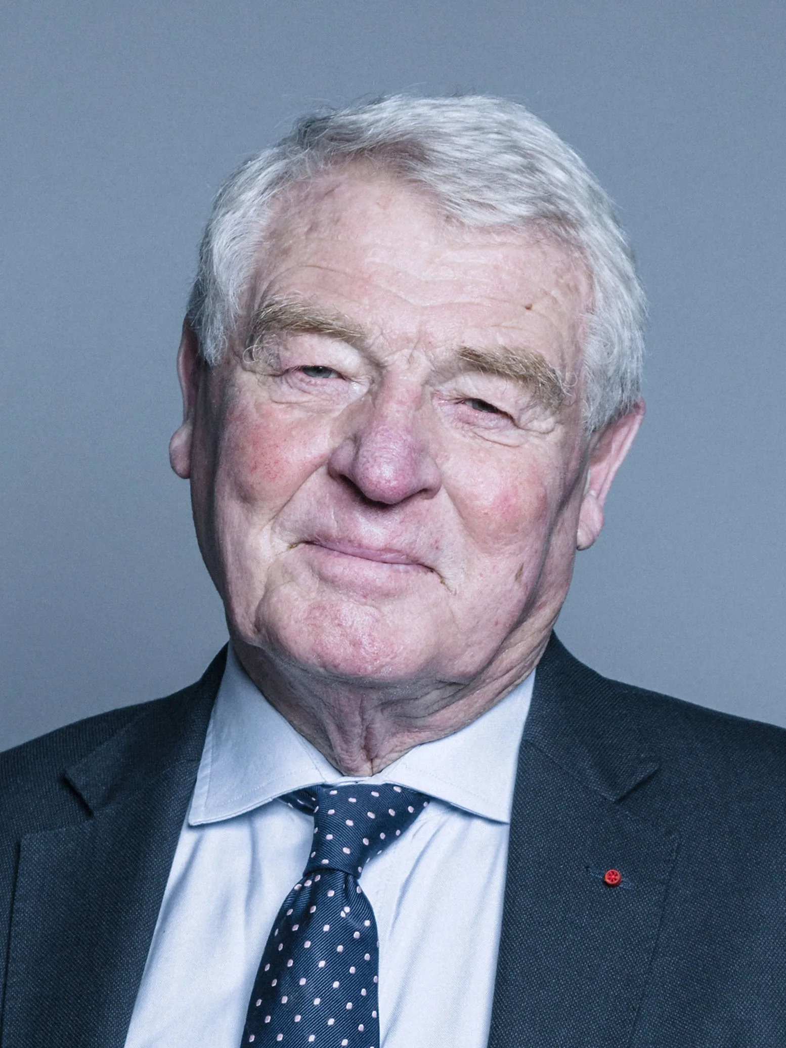 Portrait of Paddy Ashdown (1941–2018) – memorial page