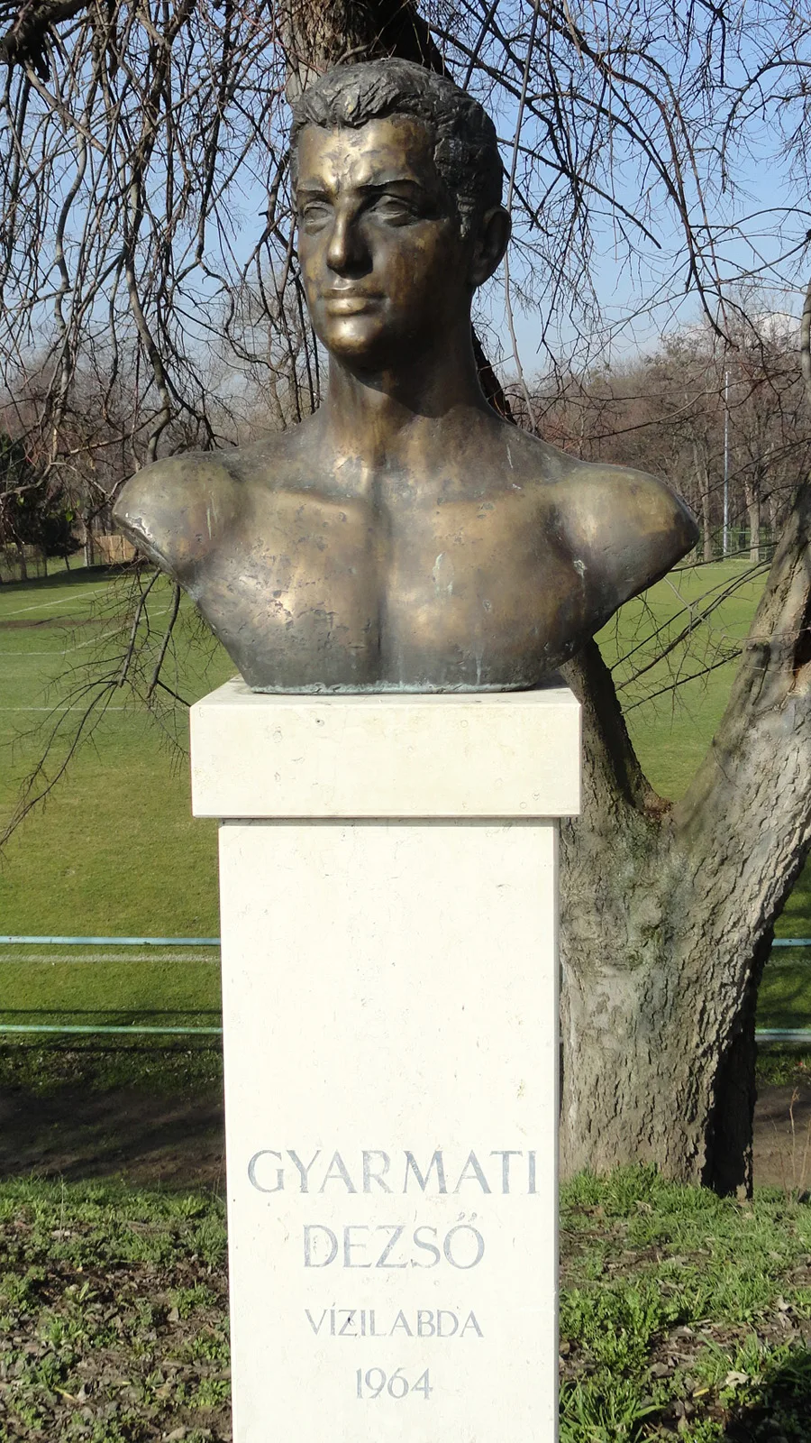 Porträt von Dezső Gyarmati (1927–2013) – Gedenkseite