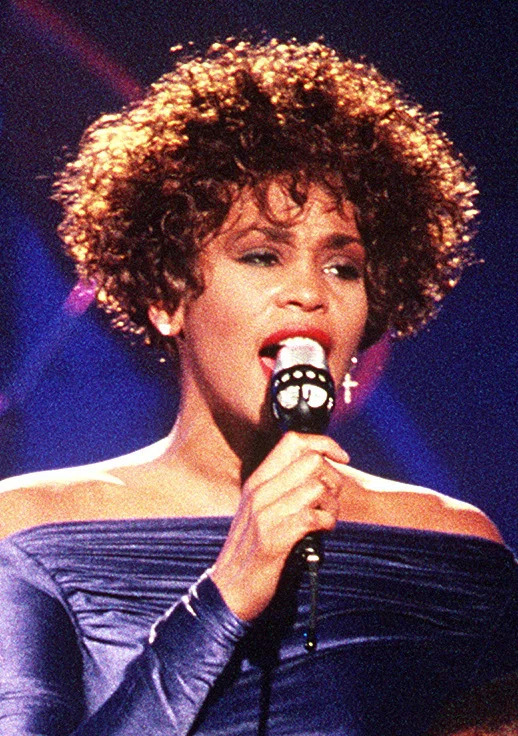 Portrait of Whitney Houston (1963–2012) – memorial page