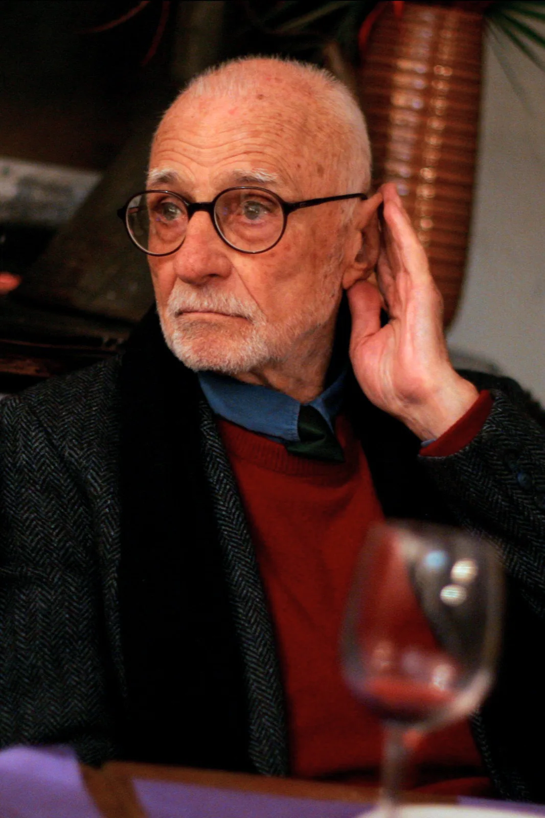 Portrait of Mario Monicelli (1915–2010) – memorial page