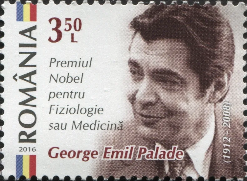 Porträt von George Emil Palade (1912–2008) – Gedenkseite