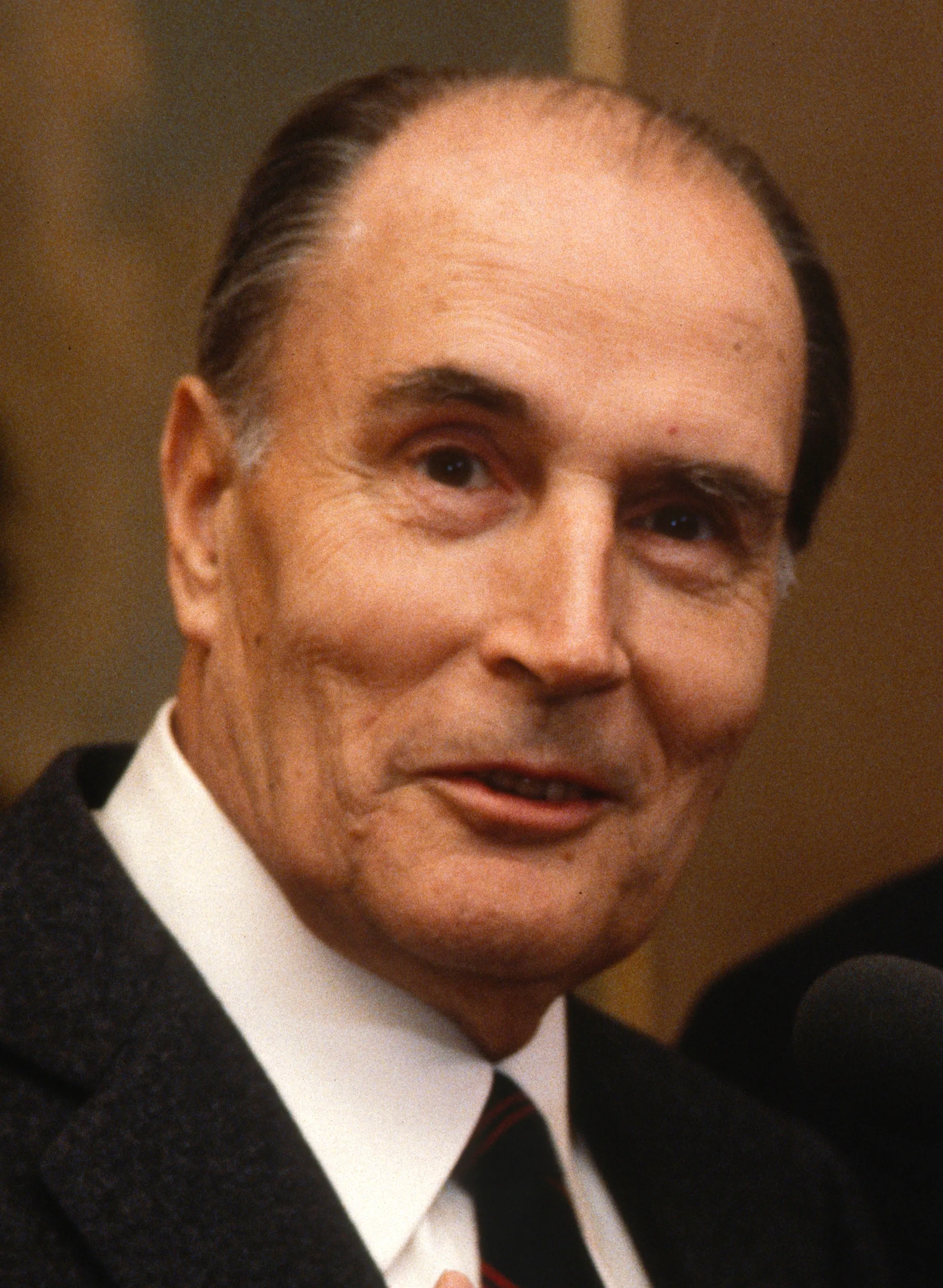 Portrait of François Mitterrand (1916–1996) – memorial page