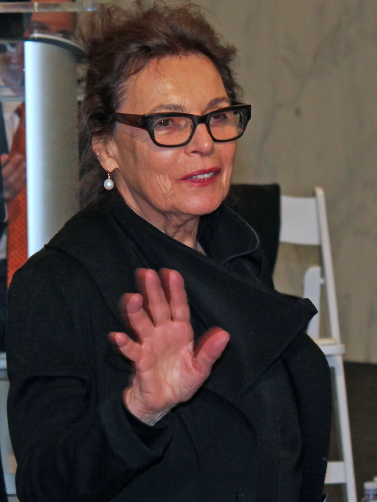 Porträt von Pat Steir (1938–2026) – Gedenkseite