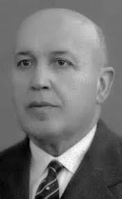 Manuel de Sousa Meneses