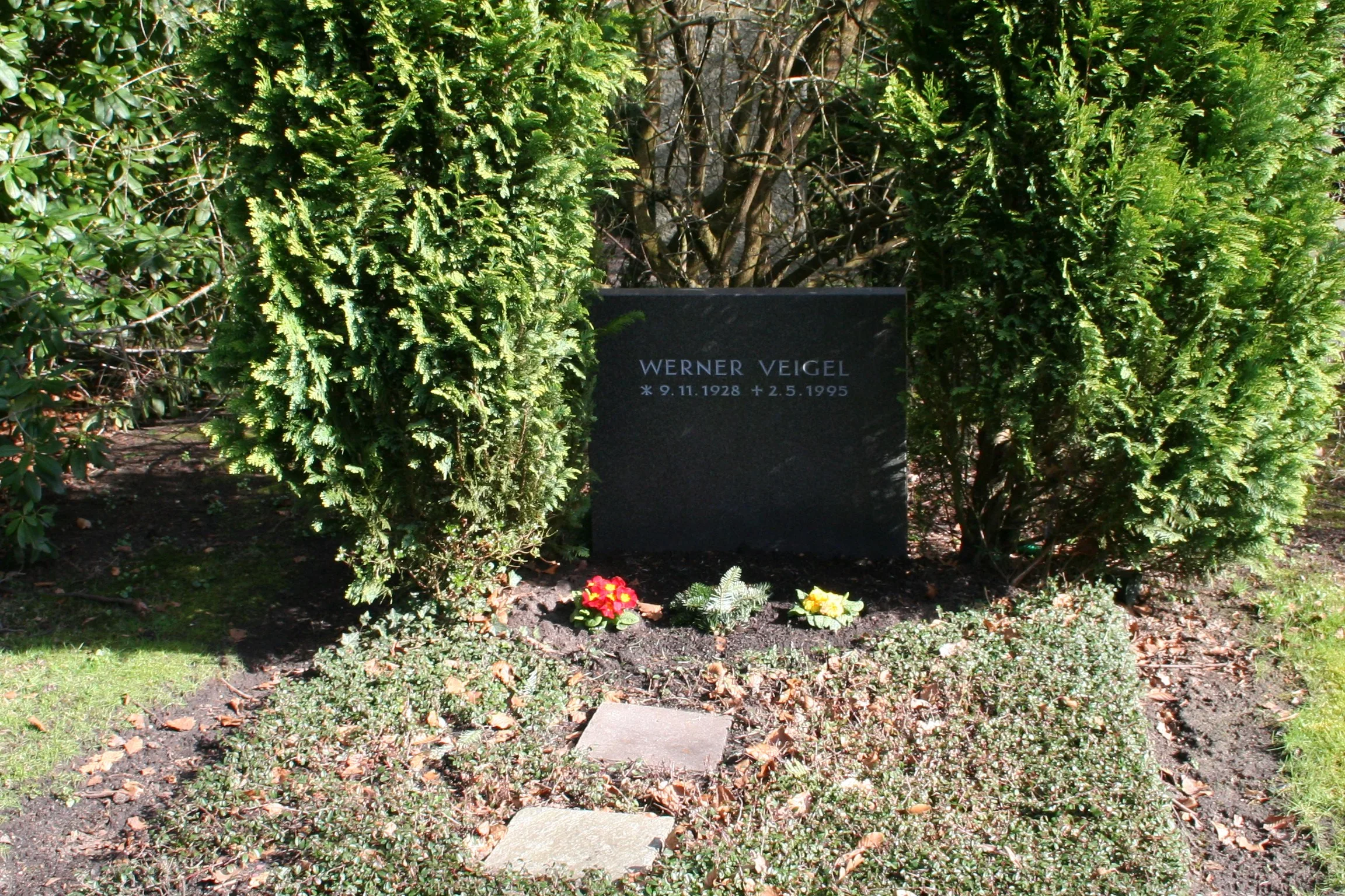 Porträt von Werner Veigel (1928–1995) – Gedenkseite