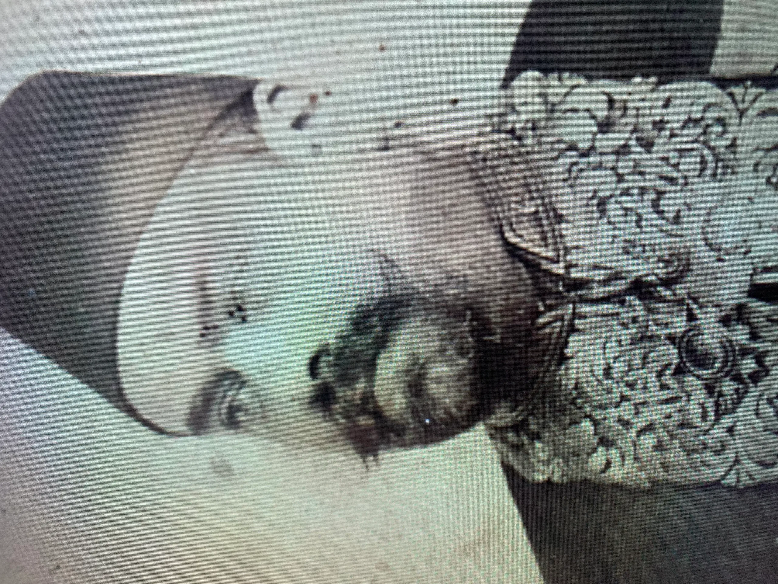 Porträt von Célestin Bonin (1851–1924) – Gedenkseite