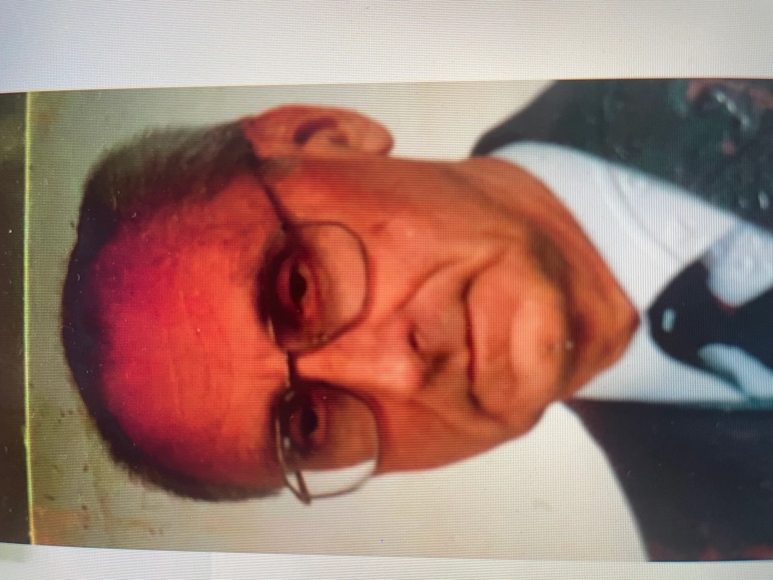 Porträt von Karol Sosnowski (1919–2015) – Gedenkseite