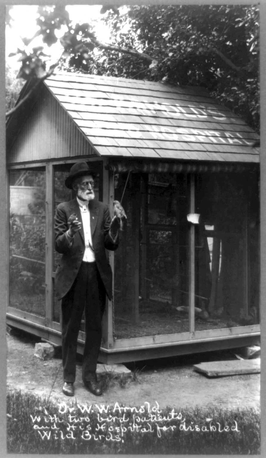 Porträt von William W. Arnold (1843–1923) – Gedenkseite