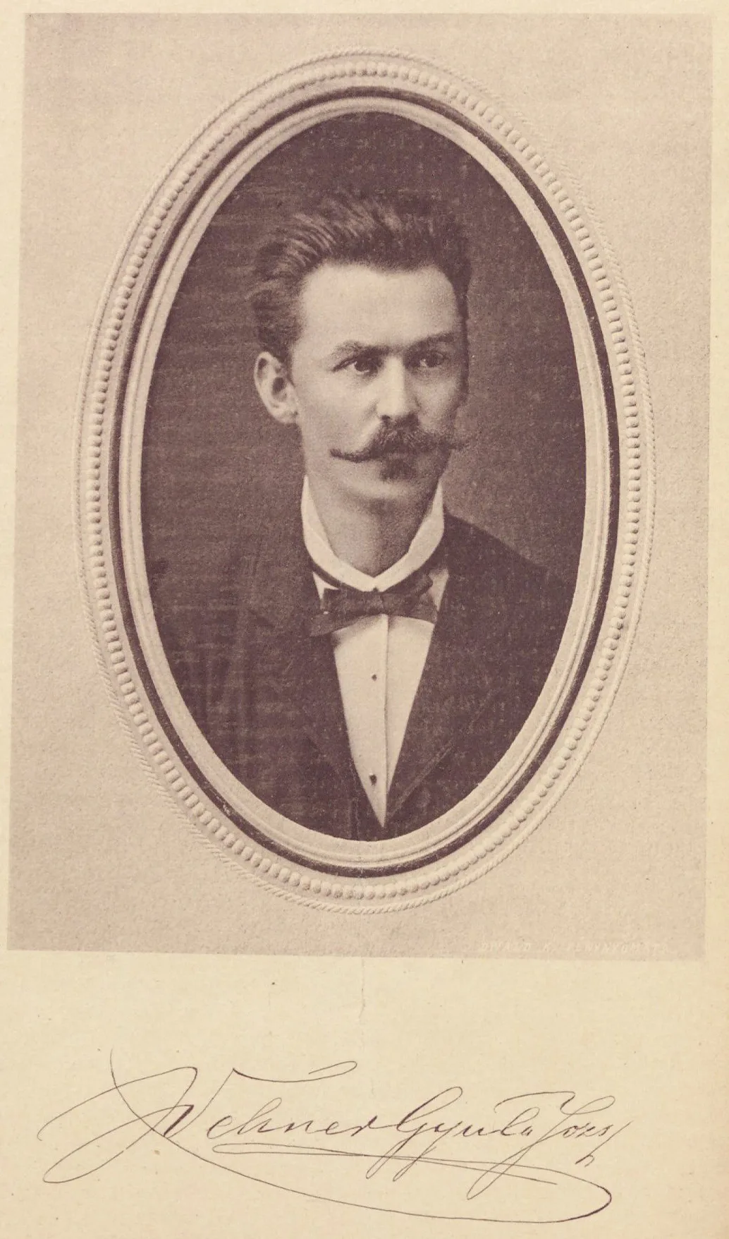 Portrait of Gyula József Wehner (1842–1916) – memorial page