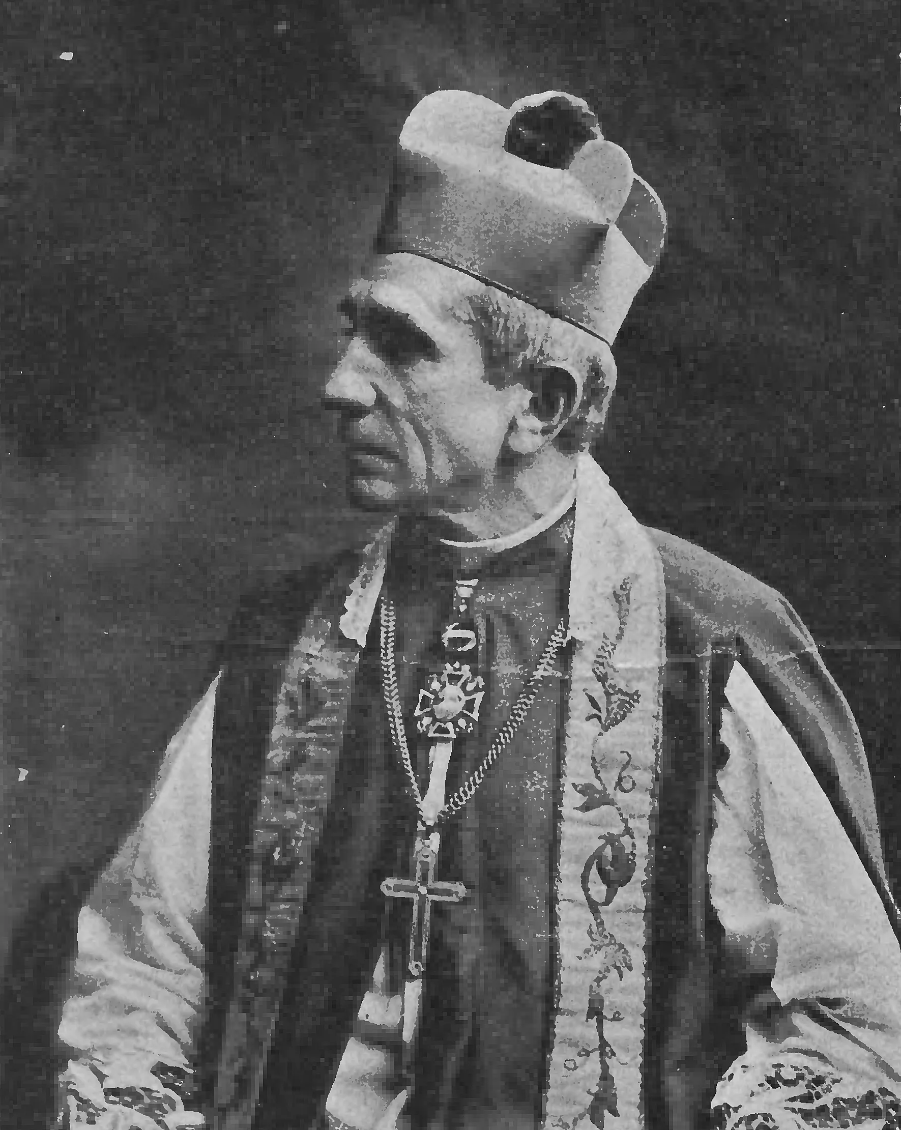 Portrait of Josef Schmidt (1850–1921) – memorial page