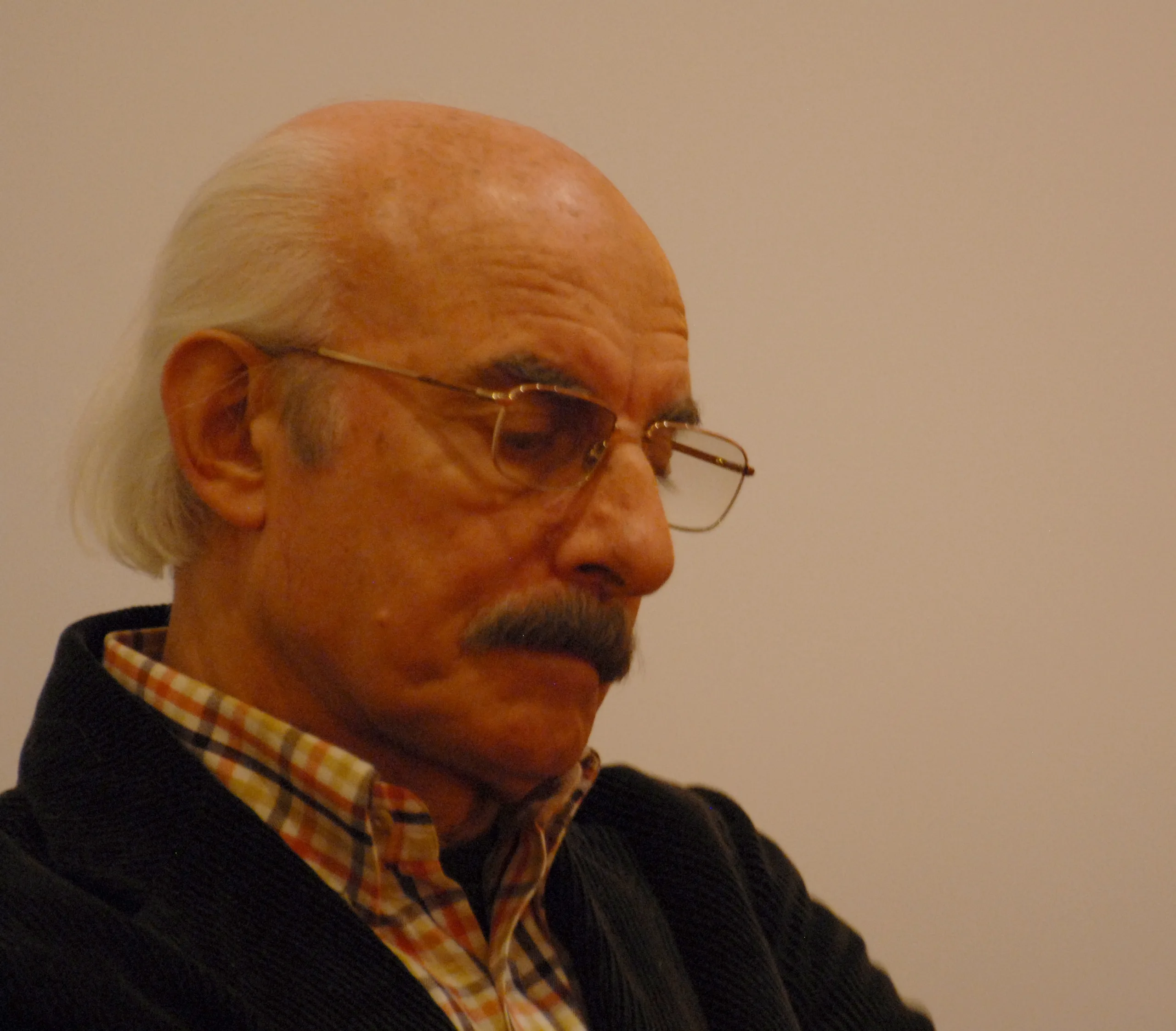 Vittorio Catani