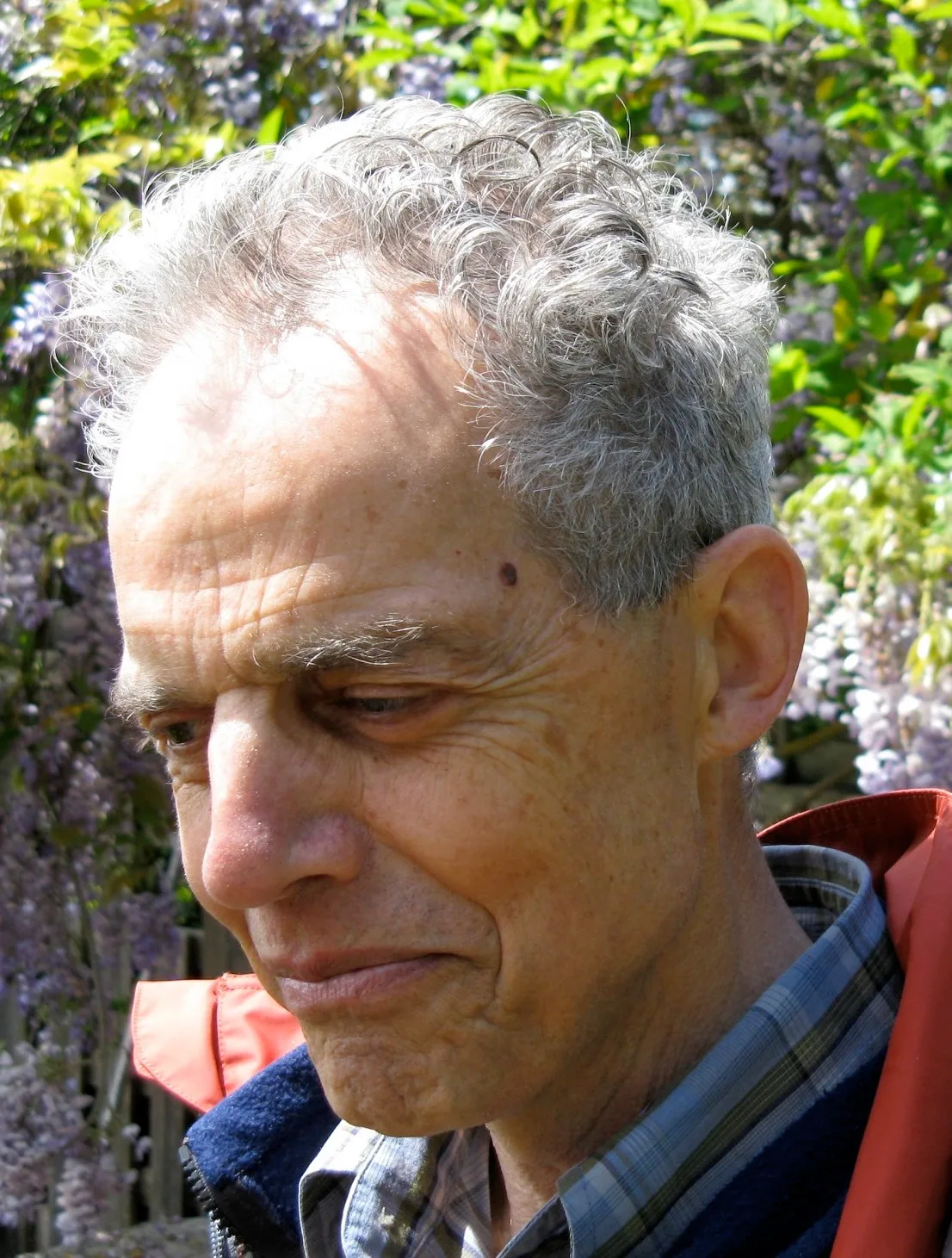 Portrait of Maarten van Emden (1937–2023) – memorial page