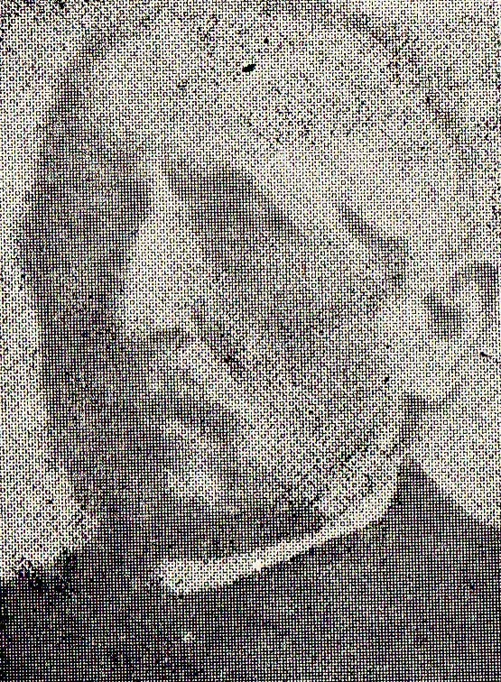 Porträt von Antoni Krzyżanowski (1808–1895) – Gedenkseite