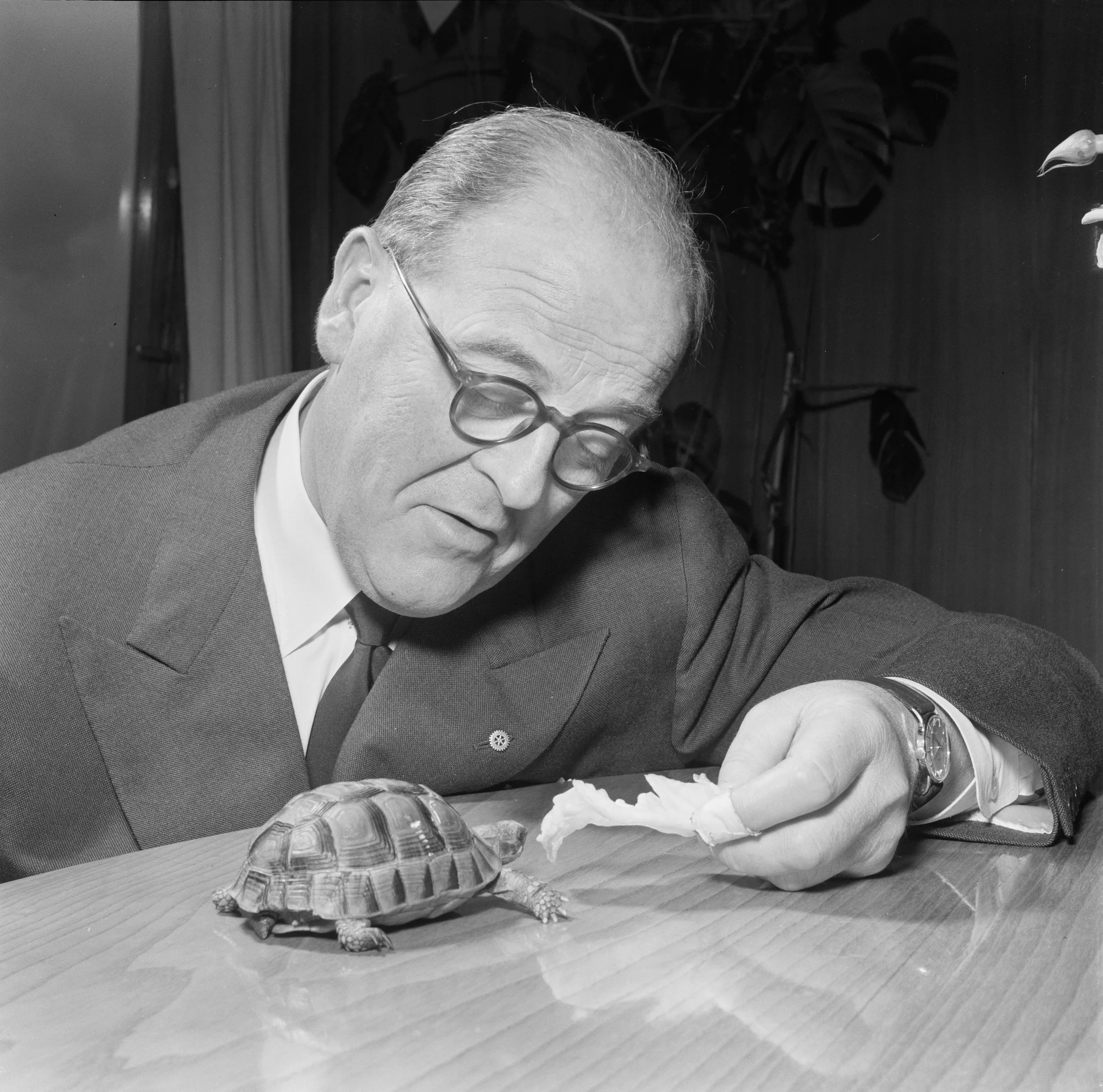 Thorstein Diesen