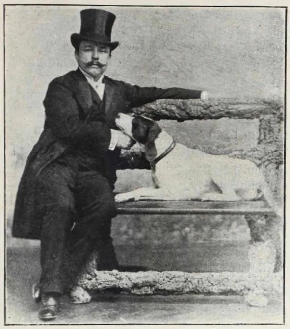 József Fónagy