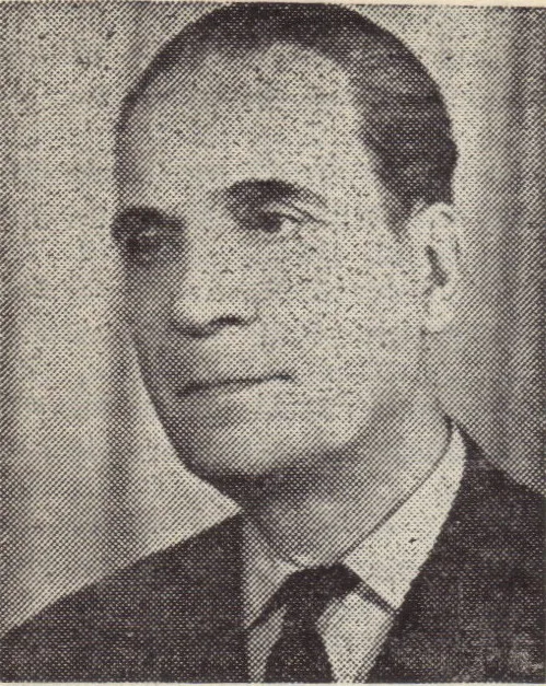 Vladimir Streinu