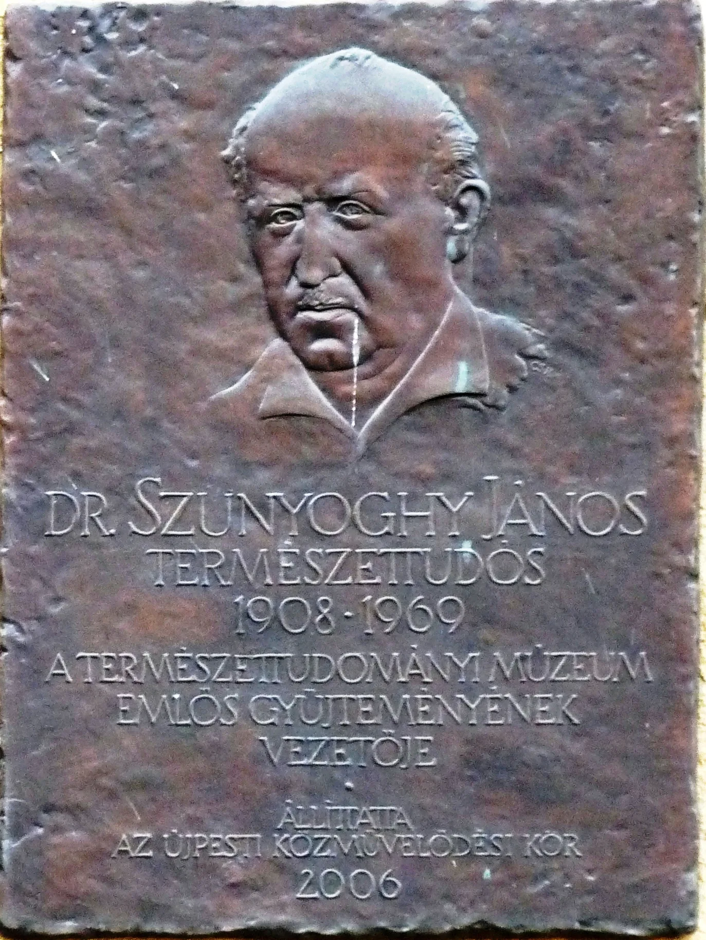 Porträt von János Szunyoghy (1908–1969) – Gedenkseite