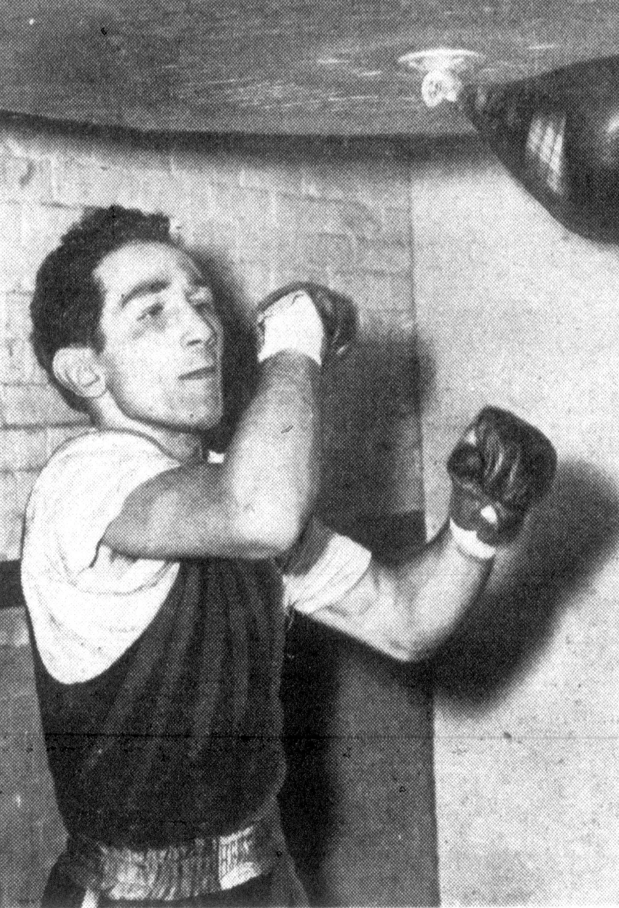 Porträt von Willie Pep (1922–2006) – Gedenkseite
