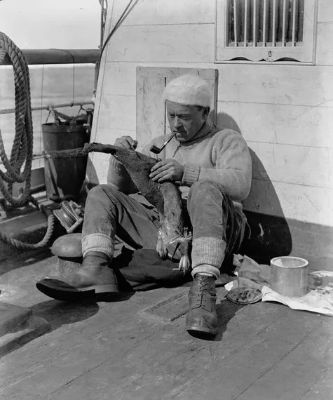 Porträt von George Murray Levick (1876–1956) – Gedenkseite