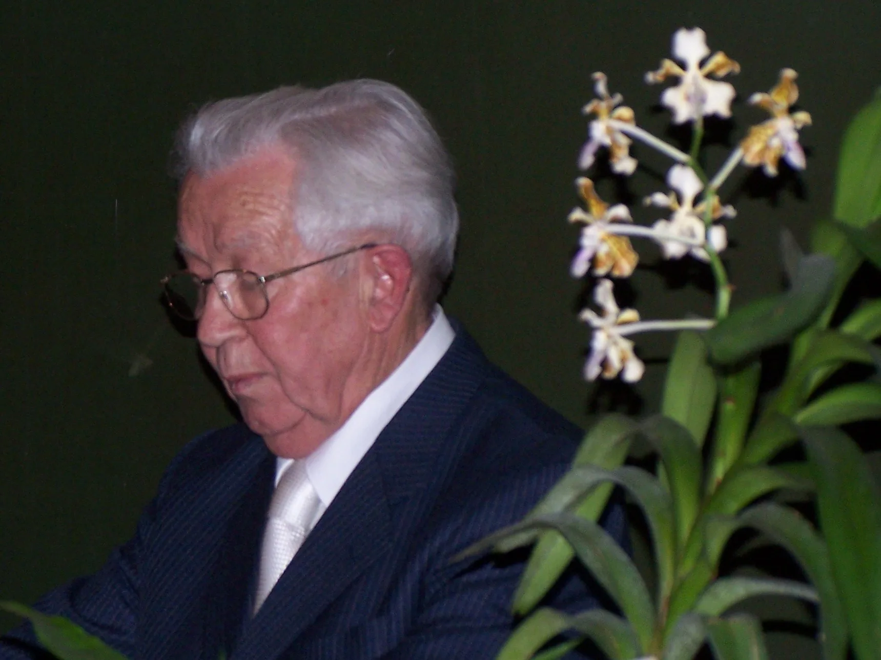 Erwin Patzelt