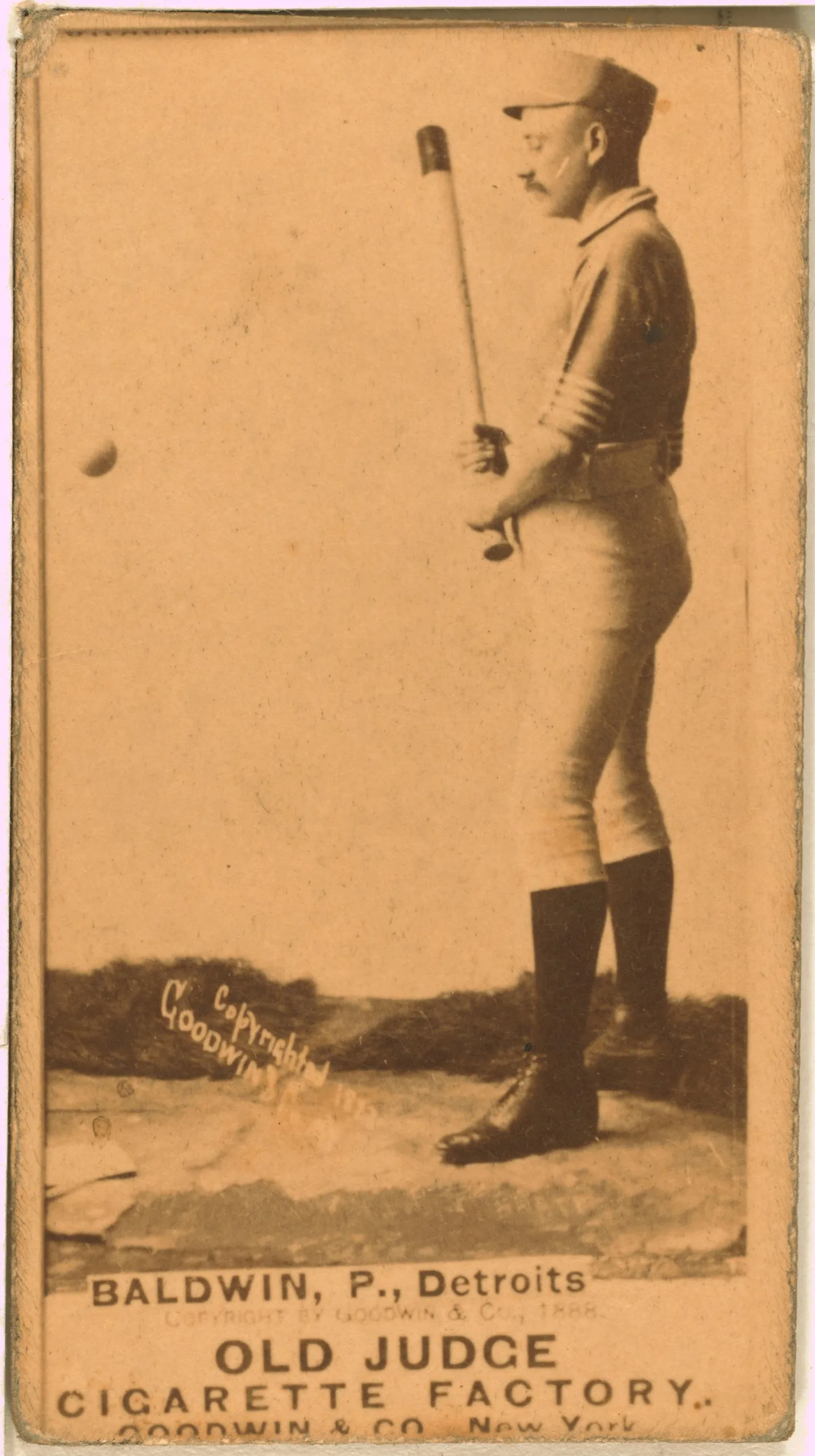 Porträt von Lady Baldwin (1859–1937) – Gedenkseite
