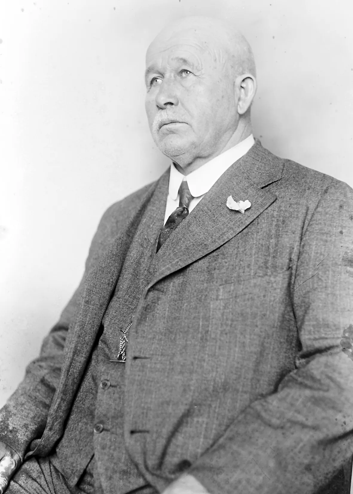 Portrait of Hays B. White (1855–1930) – memorial page