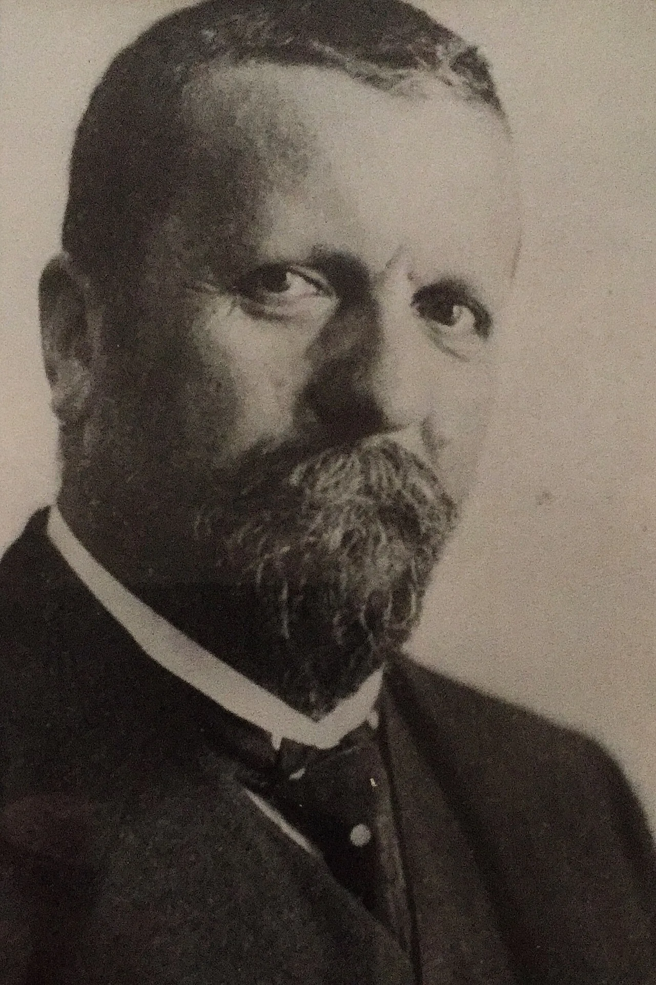 August Scholz