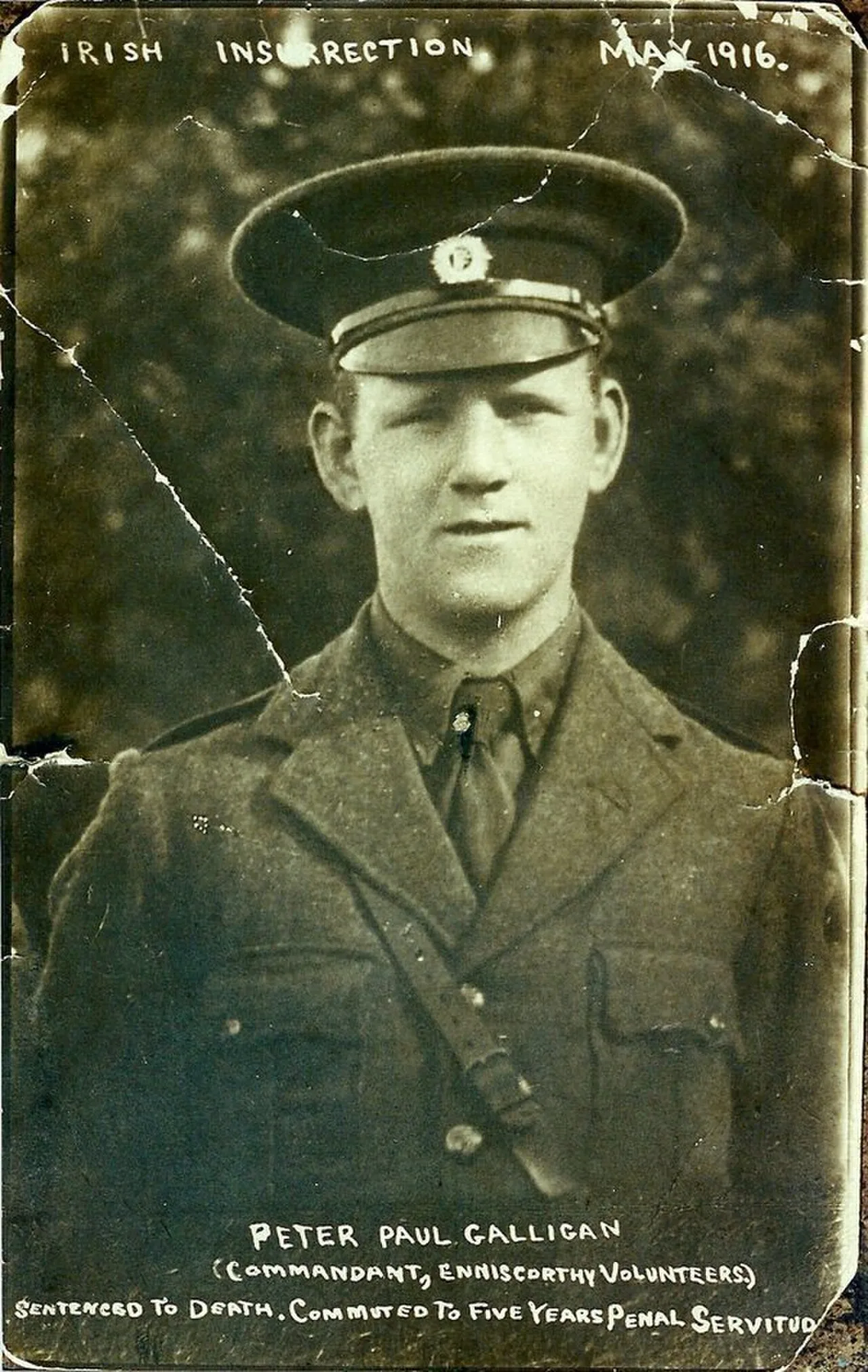 Paul Galligan