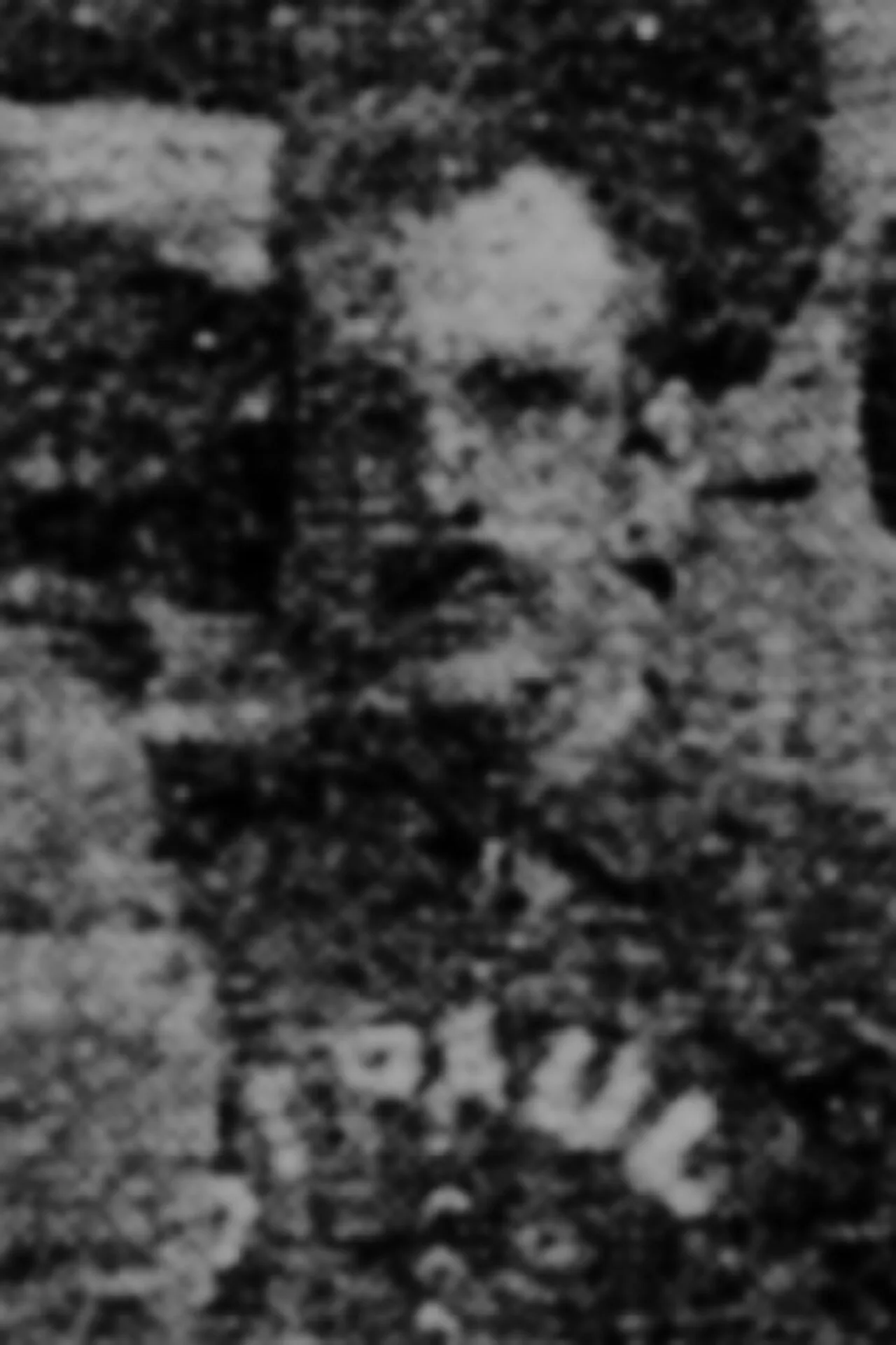 Porträt von Frank Ringo (1860–1889) – Gedenkseite