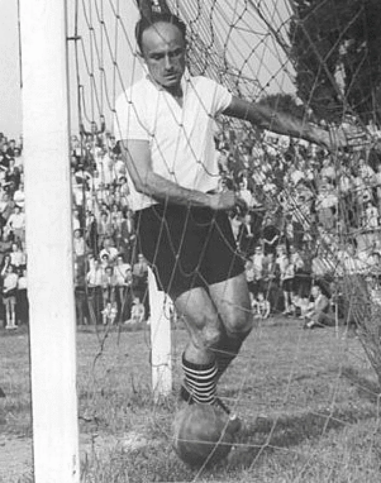 Portrait of Horst Scherbaum (1925–1996) – memorial page