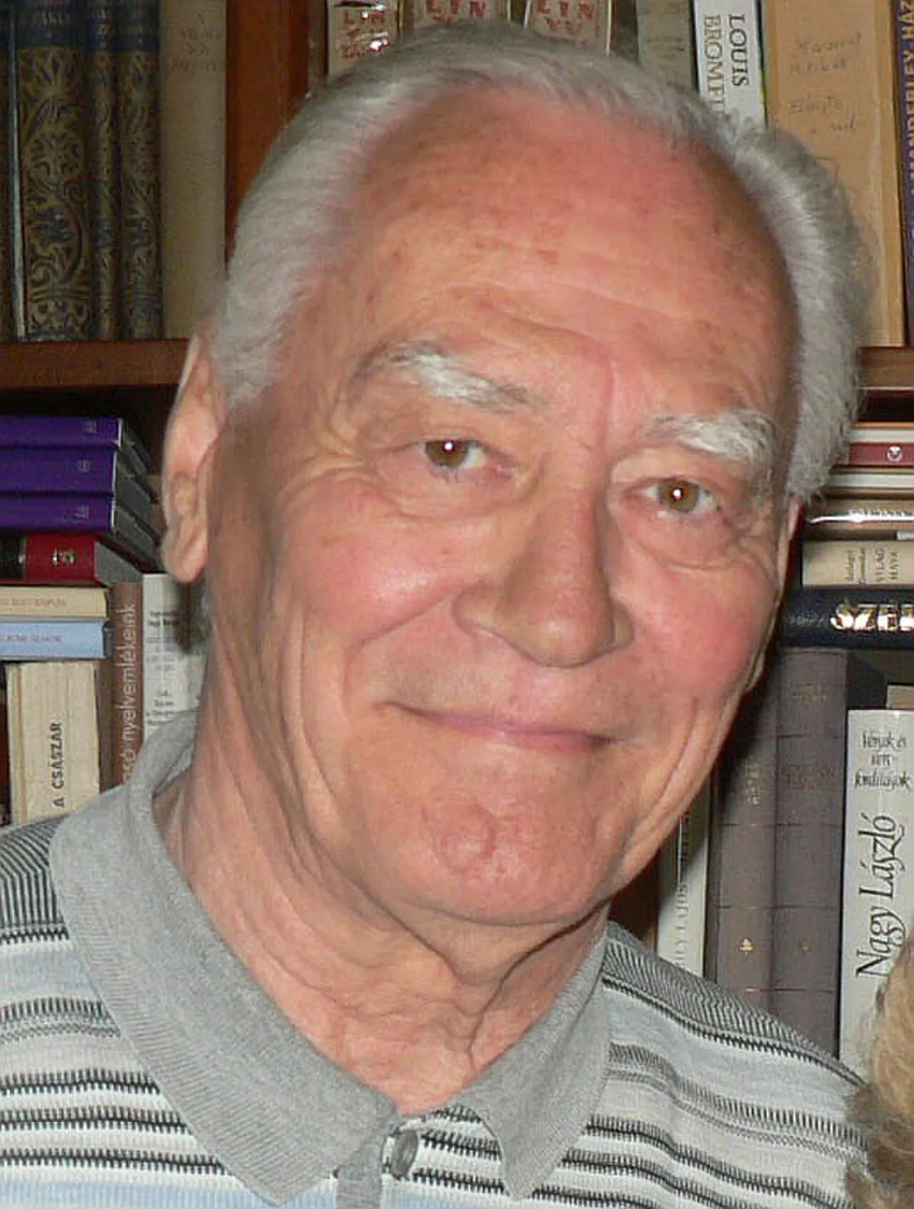 Porträt von Tivadar Pánczél (1930–2016) – Gedenkseite