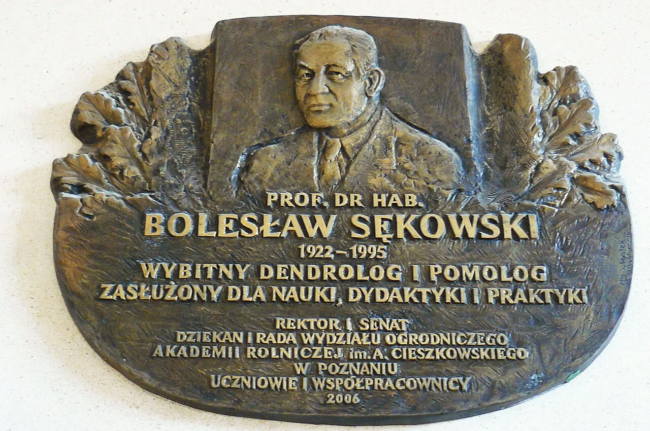 Porträt von Bolesław Sękowski (1922–1995) – Gedenkseite
