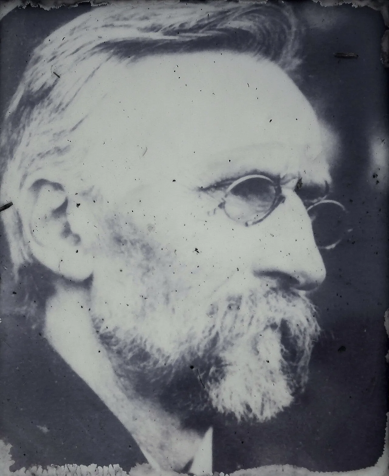 Portrait of Włodzimierz Kulczycki (1862–1936) – memorial page