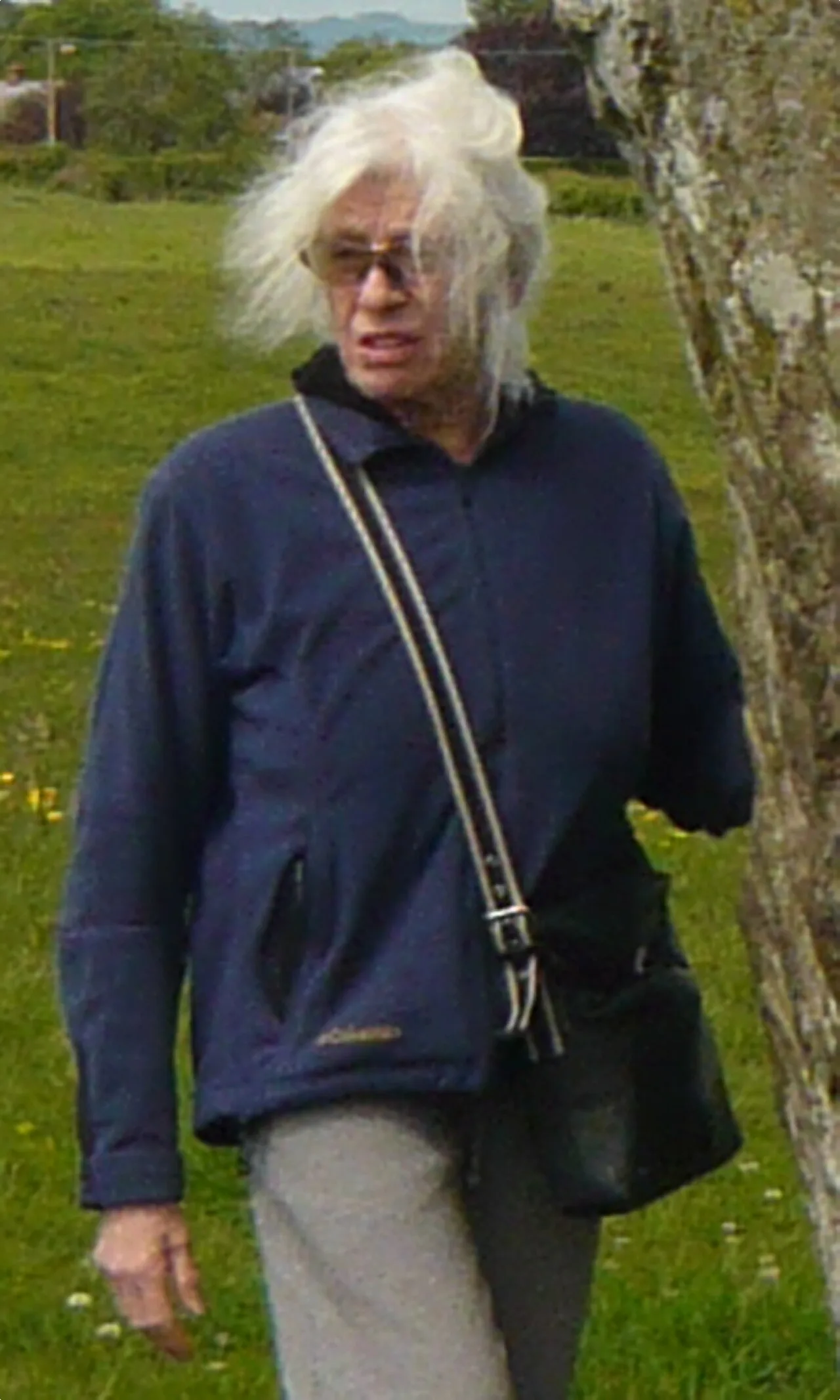 Porträt von Jo Baer (1929–2025) – Gedenkseite