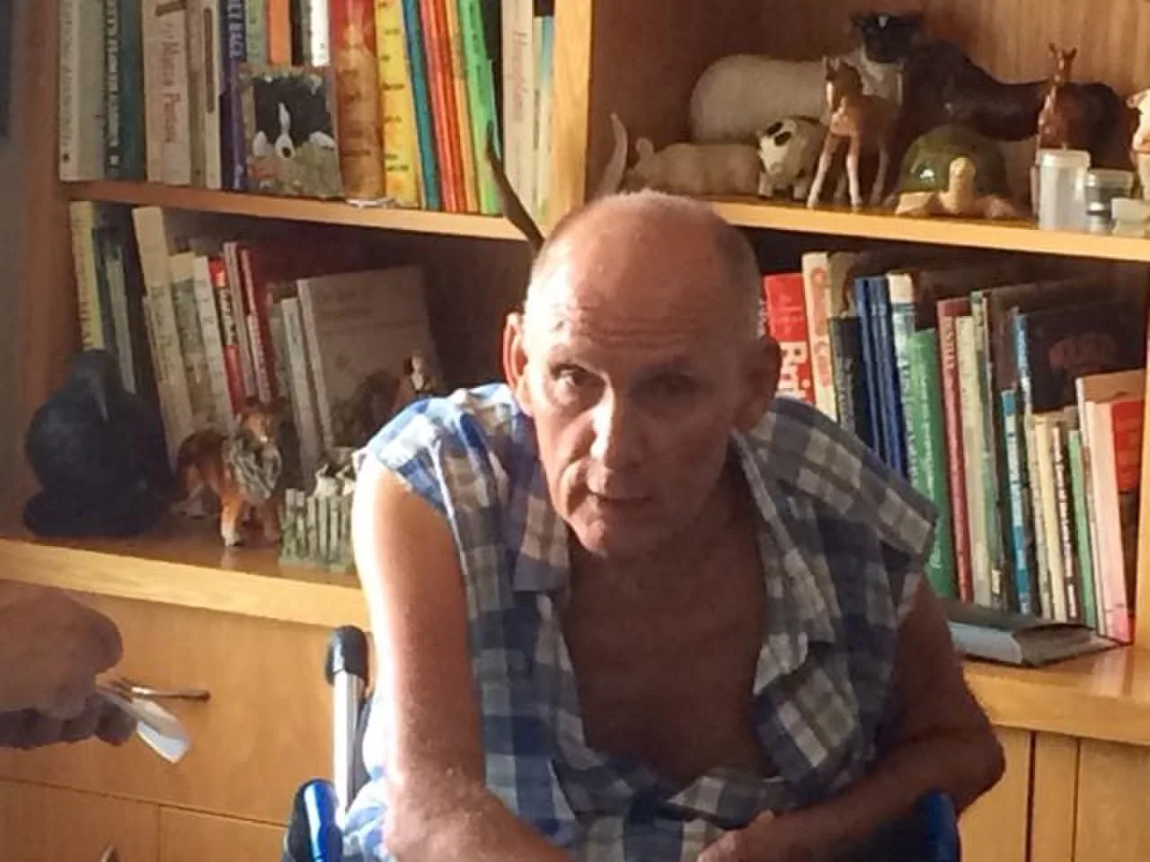Porträt von Jocelyn Lovell (1950–2016) – Gedenkseite