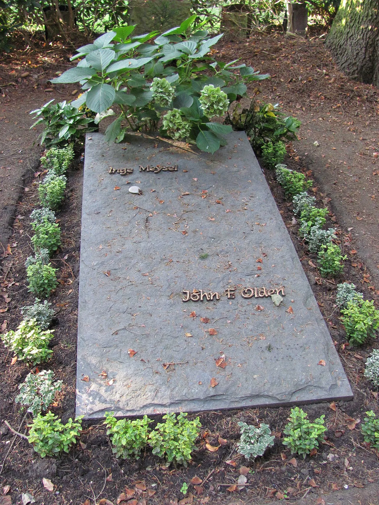 John Olden