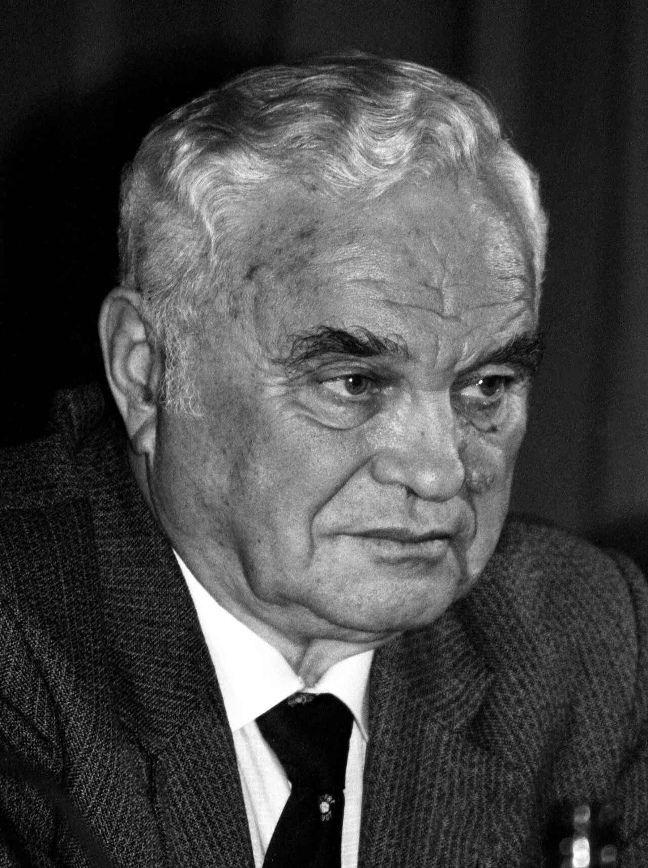 Portrait of Valentin Nikolayev (1921–2009) – memorial page