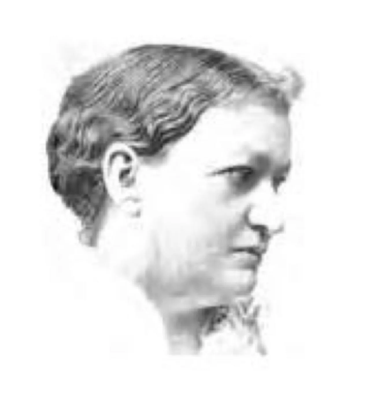 Porträt von Nancy M. Hill (1833–1919) – Gedenkseite