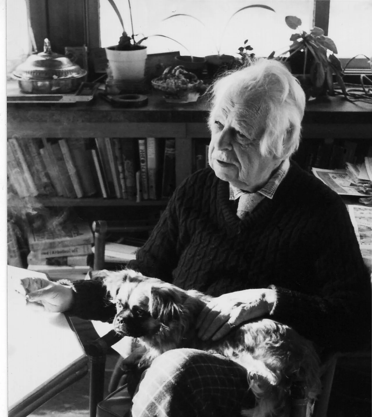 Portrait of Thomas Goddard Bergin (1904–1987) – memorial page
