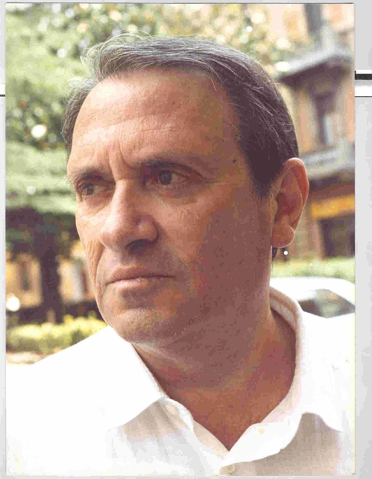 Mario Grasselli