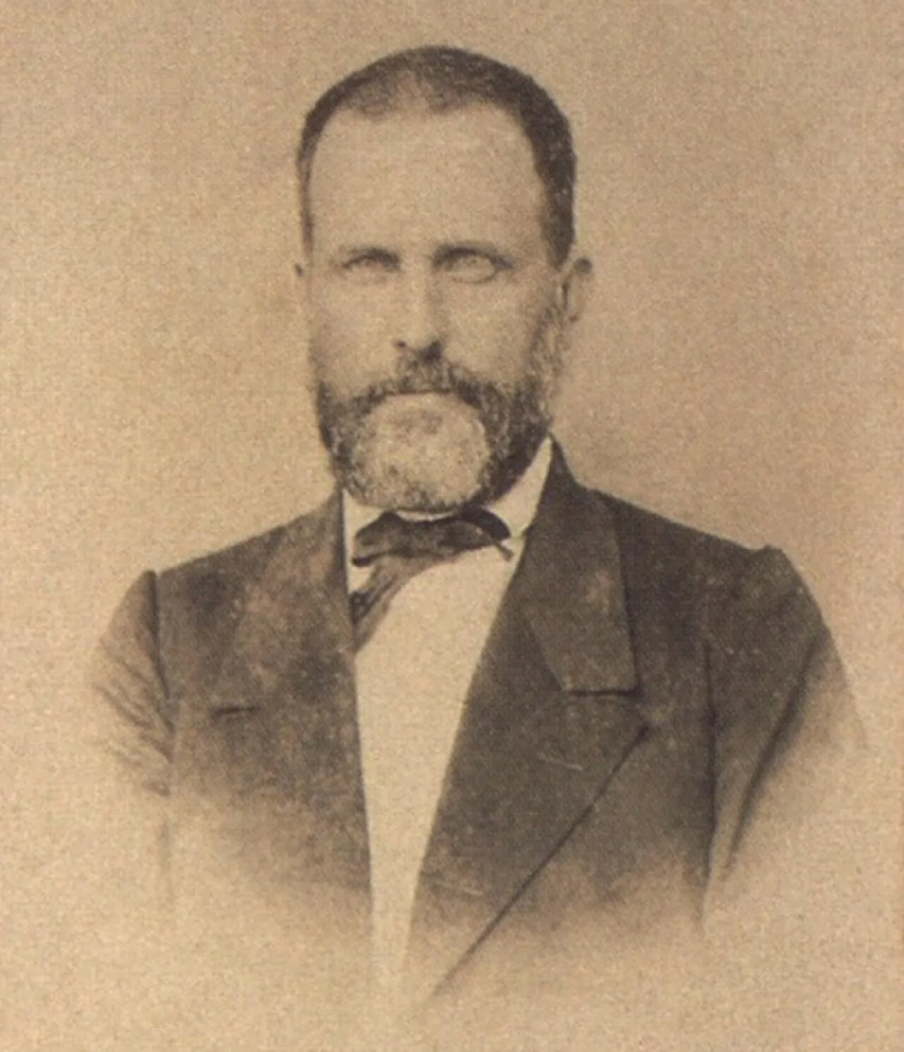 Portrait of José Antônio Saraiva (1823–1895) – memorial page