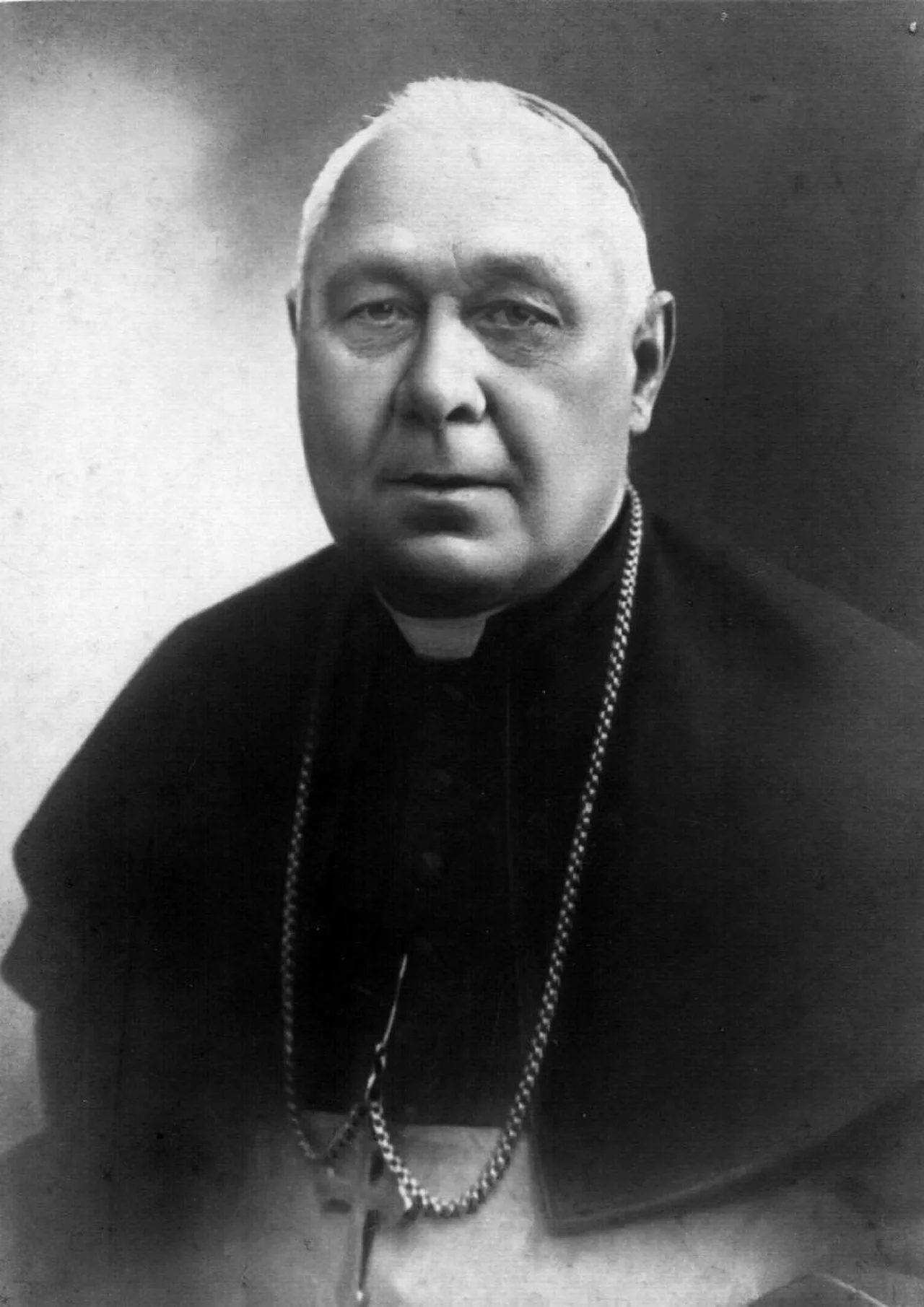 Portrait of Leon Wałęga (1859–1933) – memorial page