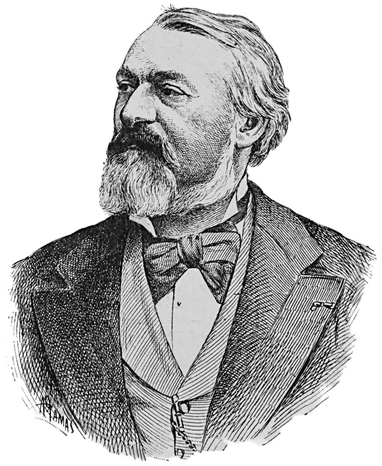 Porträt von Henri Pigeonneau (1834–1892) – Gedenkseite