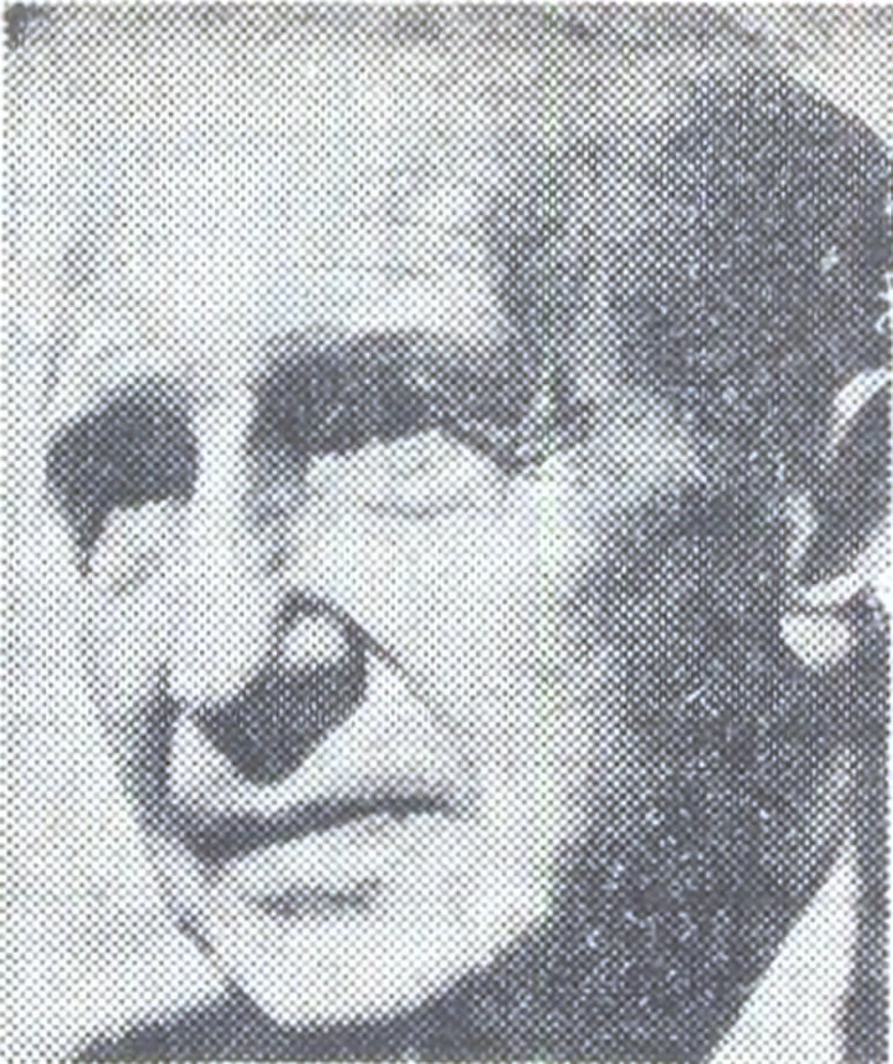 D. I. Suchianu