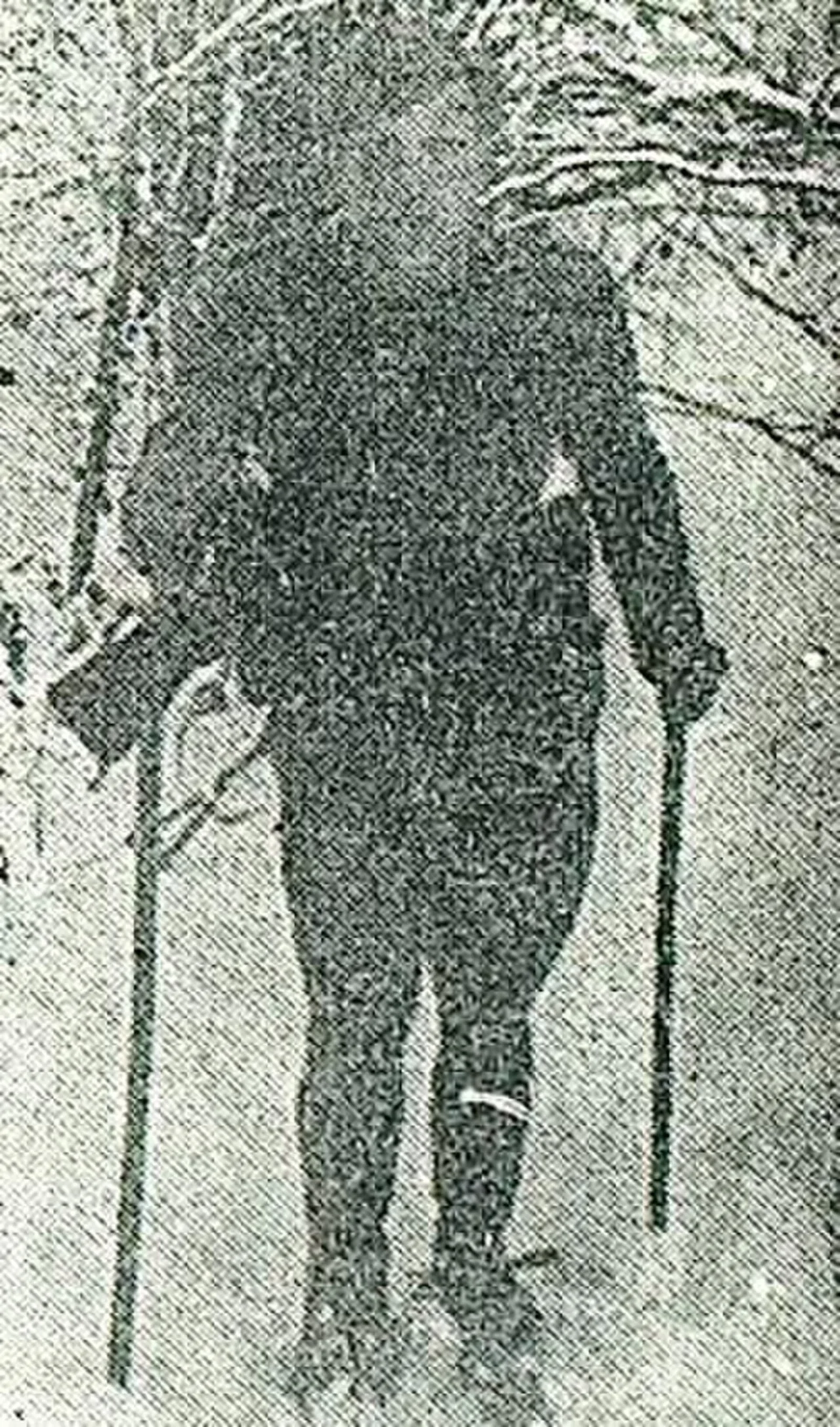 Porträt von Stanko Gruden (1926–1945) – Gedenkseite