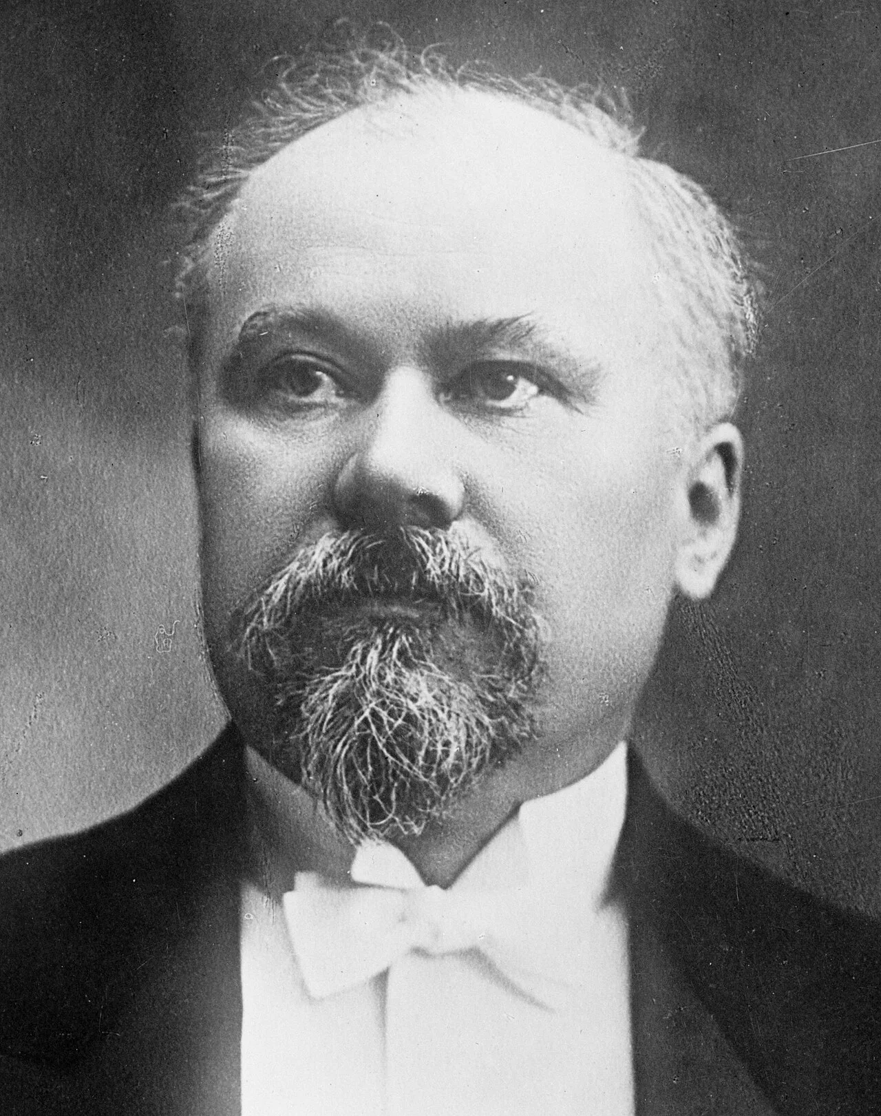 Portrait of Raymond Poincaré (1860–1934) – memorial page