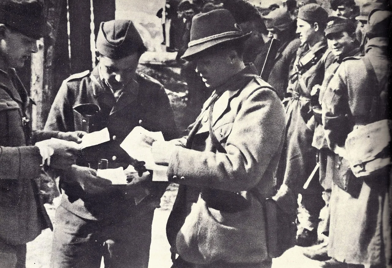 Mićo Došenović