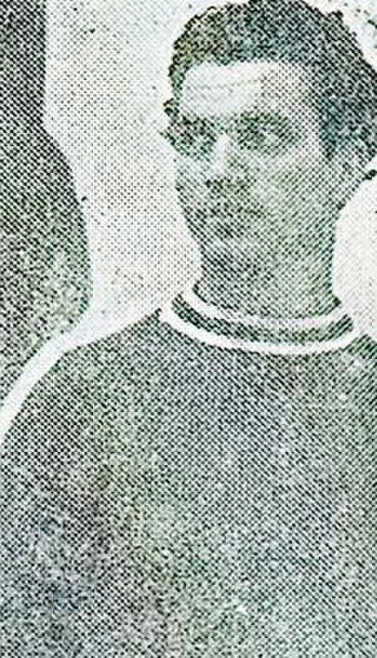 Porträt von Čelo Pertot (1924–2024) – Gedenkseite